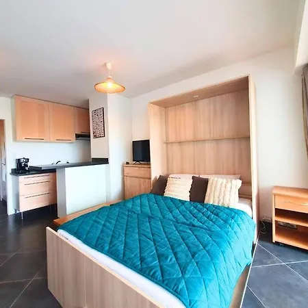 Clim Terrasse Privee - Proche De La Apartment Le Grau-du-Roi